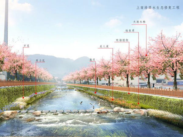 上南排渠水生态修复工程