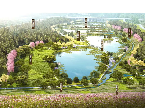 滨海湾至松山湖碧道建设工程（长安段）-碧荷园